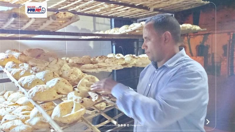 تموين المنيا 