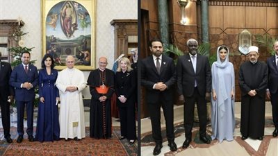 القاهرة والفاتيكان: أعضاء لجنة (زايد للأخوة) يلتقون شيخ الأزهر والبابا ليو 14