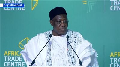 سفير الكاميرون: مركز التجارة الأفريقي شاهد على رؤية مصر للمستقبل