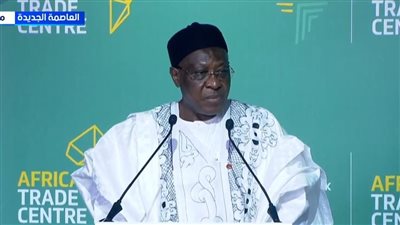 سفير الكاميرون: مركز التجارة الأفريقي يعزز مكانة مصر كمركز اقتصادي إقليمي