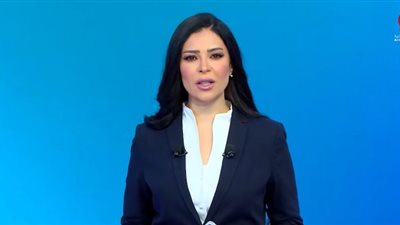 أمل الحناوي: خطة جديدة للجيش اللبناني لسحب السلاح شمال الليطاني