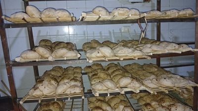 التحفظ على (500) لتر سولار وسلع منتهية الصلاحية ومجهولة المصدر ببنى سويف 