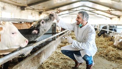 «تتويج لسنوات من العمل».. معهد بحوث الصحة الحيوانية يحصل على اعتماد ISO 17043 