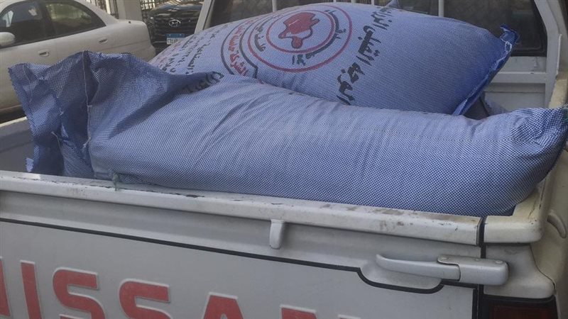 خلال الحملة 