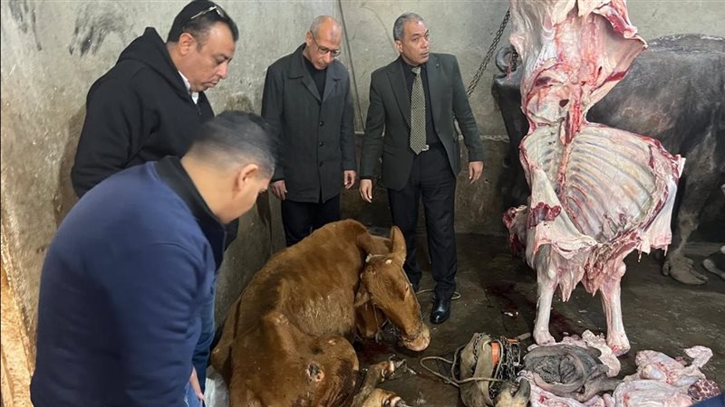 سلخانة غير مرخصة