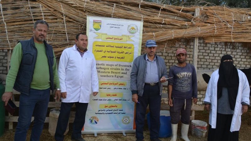 جانب من الحملة