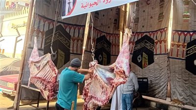 محافظ أسيوط: استمرار فتح منافذ بيع اللحوم البلدية بسعر 290 جنيهًا للكيلو 