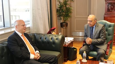 مصر تستهدف 42% طاقات متجددة 2030.. وعصمت يلتقي وفد لينكسون السويدية