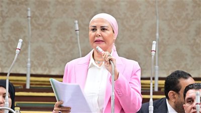 النائبة أمل سلامة: استمرار ظاهرة العنف الأسري يستدعي تدخلاً عاجلًا وتشريعًا 