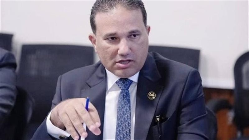 النائب تامر عبدالحميد