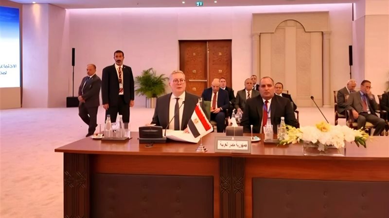 المهندس كريم بدوي