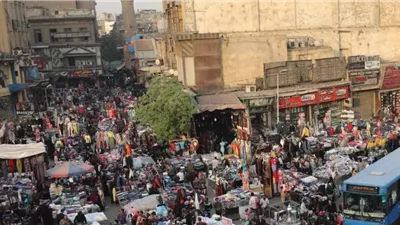 جيل ما بعد الأزمات.. كيف تغيرت أولويات المصريين في الغذاء والسكن والتعليم؟