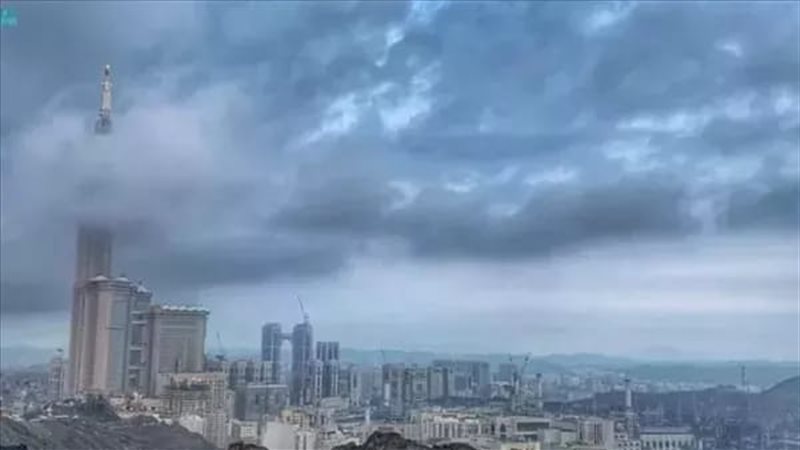 تعليق الدراسة في