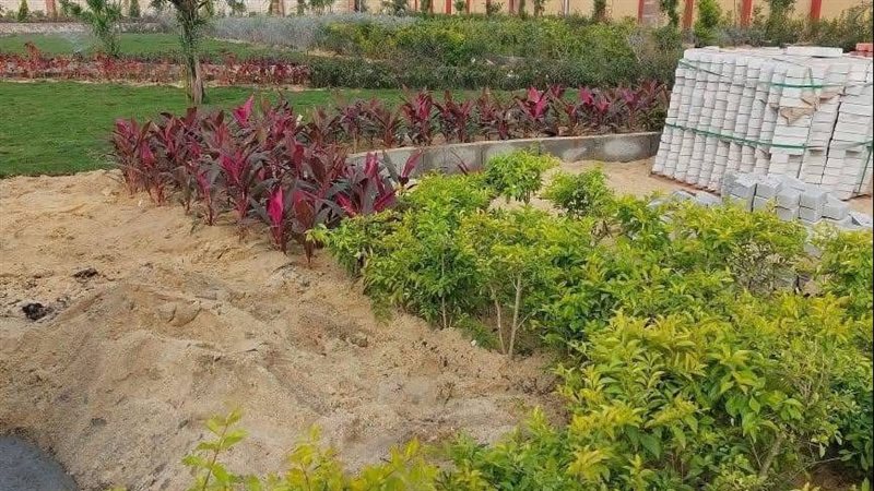 تطوير حدائق بورسعيد