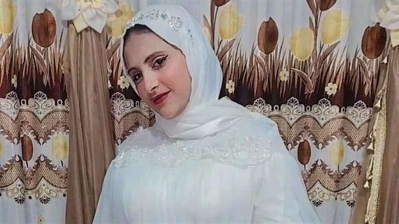 عروس المنوفية