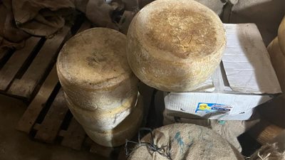 حملة تموينية استثنائية بالإسكندرية لضبط الأسواق وحماية صحة المواطنين