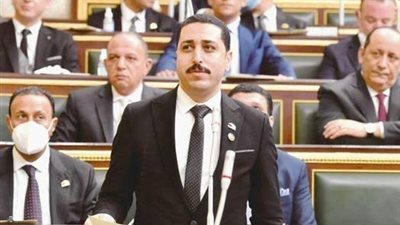 برلماني: 