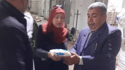 ضبط 8 أطنان مواد غذائية و100 طن ملح بدون مستندات ومجهولة المصدر بالمنوفية
