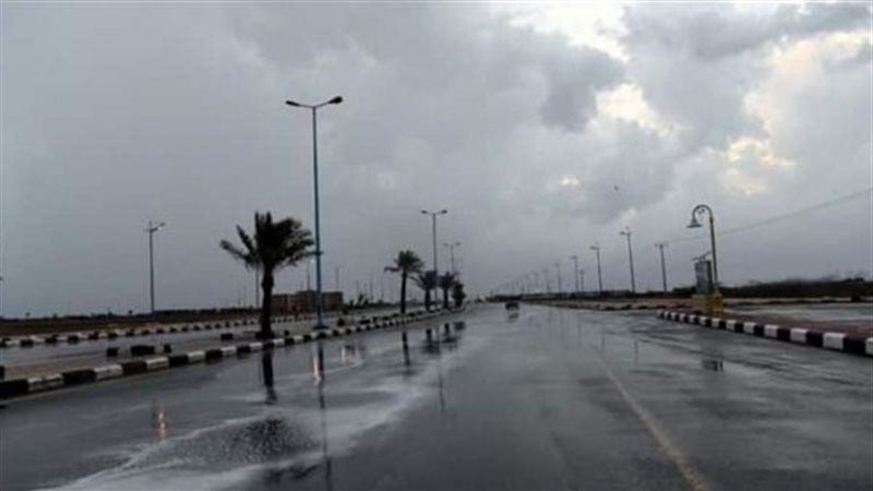 ارشيفية
