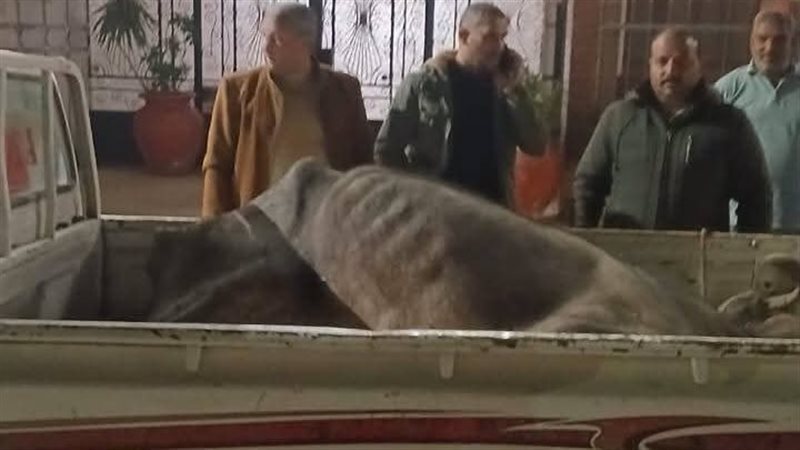 جانب من الضبط 