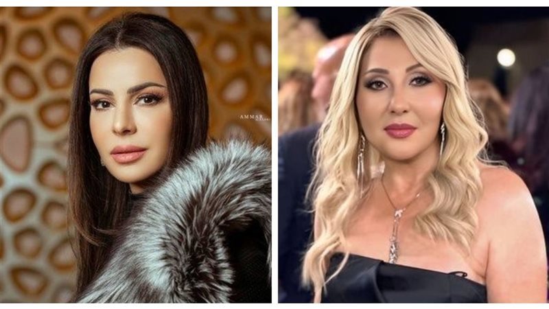 الفنانة نادية الجندي