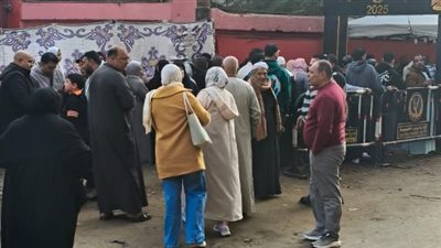 رئيس لجنة متابعة القليوبية: انتظام كامل للانتخابات رغم تأخر لجنة بسبب المزلقان