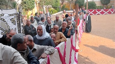 توافد ملحوظ للمواطنين في لجان انتخابات النواب بالقليوبية في جولة الإعادة