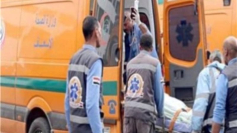 مصرع صغير ، سقط من