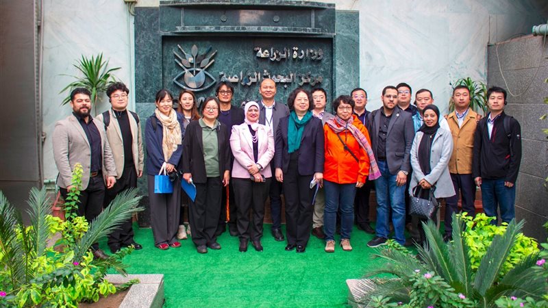 متبقيات المبيدات