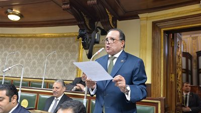 أبو هميلة: إنشاء مجمع «أتوم» للألواح الشمسية يعظم الصناعة المحلية 