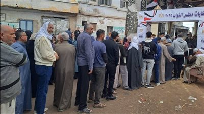 بدء عملية التصويت في اليوم الأول من جولة الإعادة بكفر الشيخ