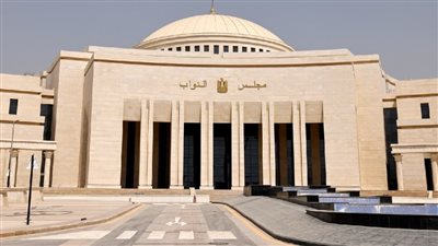 تعديلات دستورية دقيقة.. مجلس الشيوخ يُعيد صياغة مواد قانون الكهرباء