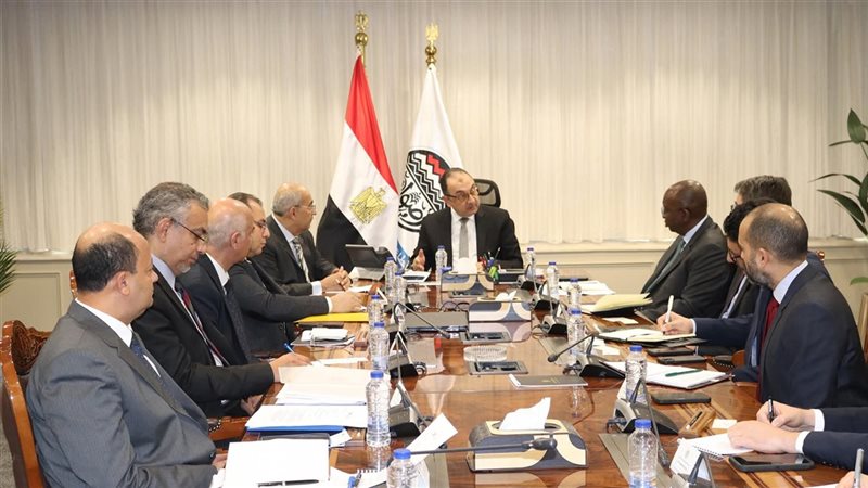 المهندس محمد شيمي