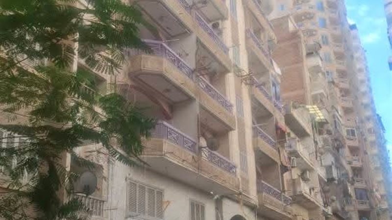 مكان سكن نفين مندور