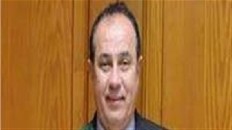 المستشار وجدى عبد