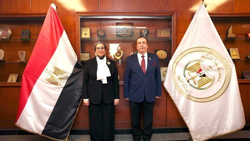 المستشارة أمل عمار