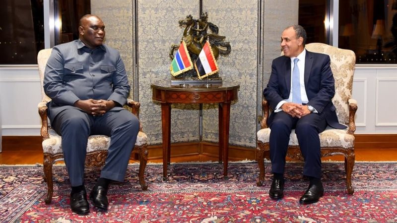 وزير الخارجية يلتقي