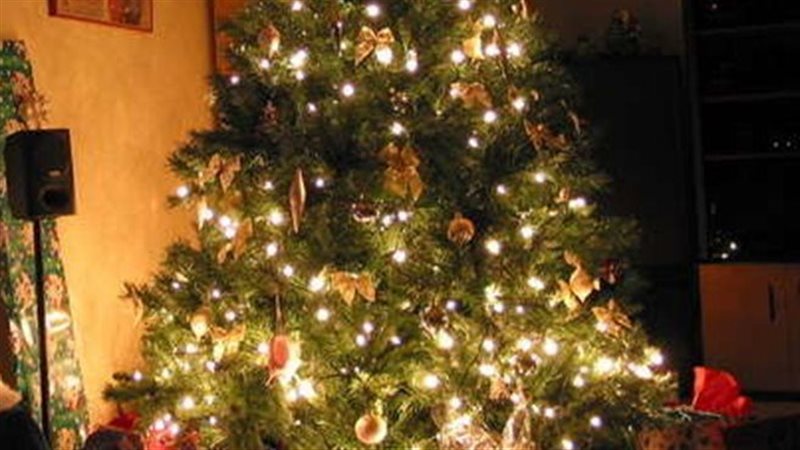 شجرة الميلاد 