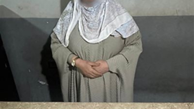 سقوط محاولة للتأثير على الناخبين وضبط سيدة بحوزتها أموال في دائرة بسيون