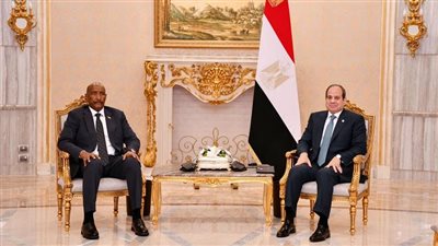بعد استقبال السيسي للبرهان.. شردي: مصر لن تسمح بالمساس بوحدة الأراضي السودانية