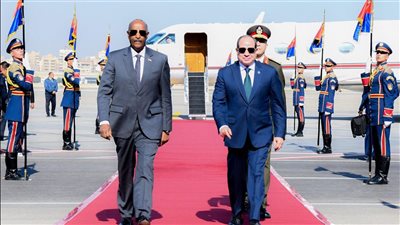 أمن مصر المائي خط أحمر.. مصر والسودان يحميان مصالحهما المائية في حوض النيل