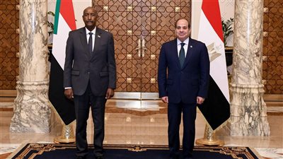 قيادات حزبية: وحدة السودان واستقراره خط أحمر.. ومصر سند دائم