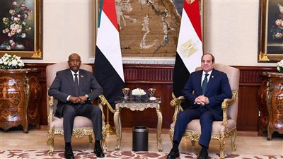 برلمانيون يؤكدون: استقرار السودان جزء لا يتجزأ من الأمن القومي المصري