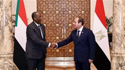 عضو بالشيوخ:  زيارة الفريق البرهان جاءت في 