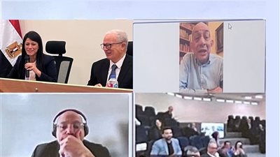 «المشاط» تستعرض السردية الوطنية للتنمية أمام المجلس التخصصي للتنمية الاقتصادية