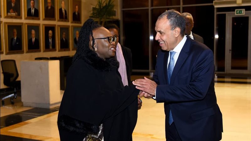 وزيرا خارجية مصر