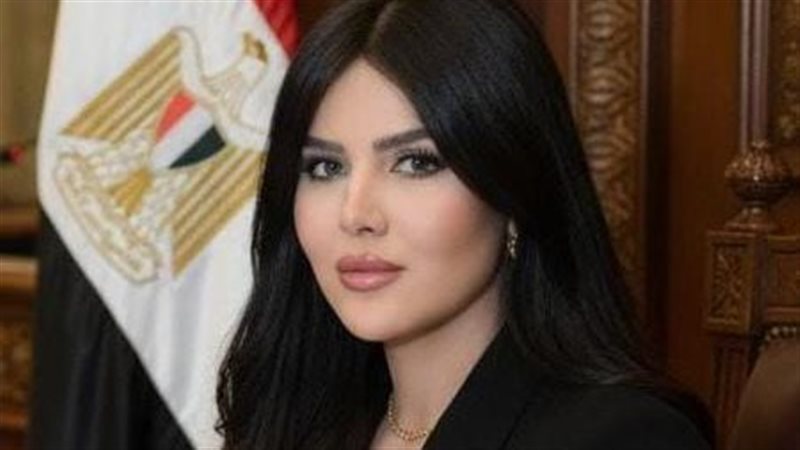 النائبة ريهام أبو