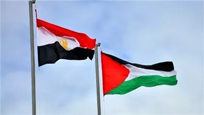 أستاذ علوم سياسية: مصر مستمرة في الدفاع عن حقوق الفلسطينيين ووقف العدوان 