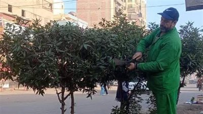 محافظ الغربية: عروس الدلتا تتزين بالأخضر وخطة طموحة لتشجير الطرق
