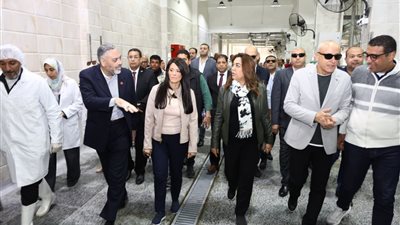 وزيرة التنمية المحلية: طرح المجازر الجديدة للاستثمار أمام القطاع الخاص 